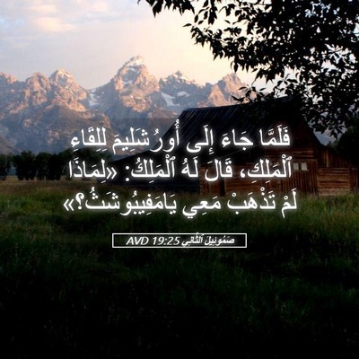 Picture 05 - صَمُوئِيلَ ٱلثَّانِي 19:25 AVD - فَلَمَّا جَاءَ إِلَى - Bible Verse Picture