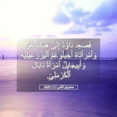 Picture 05 - صَمُوئِيلَ ٱلثَّانِي 2:2 AVD - فَصَعِدَ دَاوُدُ إِلَى - Bible Verse Picture