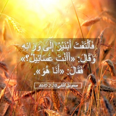Picture 05 - صَمُوئِيلَ ٱلثَّانِي 2:20 AVD - فَٱلْتَفَتَ أَبْنَيْرُ - Bible Verse Picture