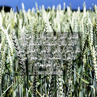 Picture 05 - صَمُوئِيلَ ٱلثَّانِي 2:26 AVD - فَنَادَى أَبْنَيْرُ - Bible Verse Picture