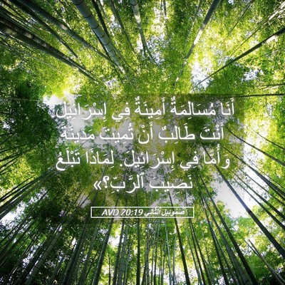 Picture 05 - صَمُوئِيلَ ٱلثَّانِي 20:19 AVD - أَنَا مُسَالِمَةٌ - Bible Verse Picture