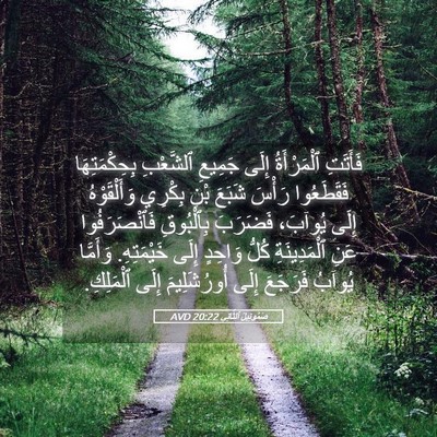 Picture 05 - صَمُوئِيلَ ٱلثَّانِي 20:22 AVD - فَأَتَتِ ٱلْمَرْأَةُ - Bible Verse Picture