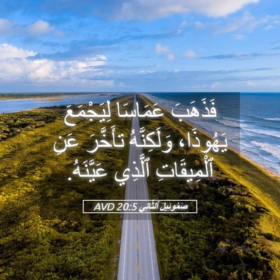 Picture 05 - صَمُوئِيلَ ٱلثَّانِي 20:5 AVD - فَذَهَبَ عَمَاسَا - Bible Verse Picture