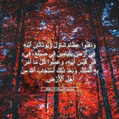 Picture 05 - صَمُوئِيلَ ٱلثَّانِي 21:14 AVD - وَدَفَنُوا عِظَامَ - Bible Verse Picture