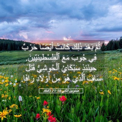 Picture 05 - صَمُوئِيلَ ٱلثَّانِي 21:18 AVD - ثُمَّ بَعْدَ ذَلِكَ - Bible Verse Picture
