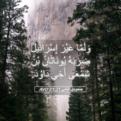Picture 05 - صَمُوئِيلَ ٱلثَّانِي 21:21 AVD - وَلَمَّا عَيَّرَ - Bible Verse Picture