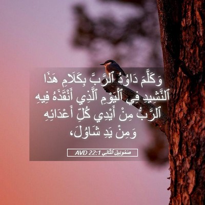 Picture 05 - صَمُوئِيلَ ٱلثَّانِي 22:1 AVD - وَكَلَّمَ دَاوُدُ - Bible Verse Picture