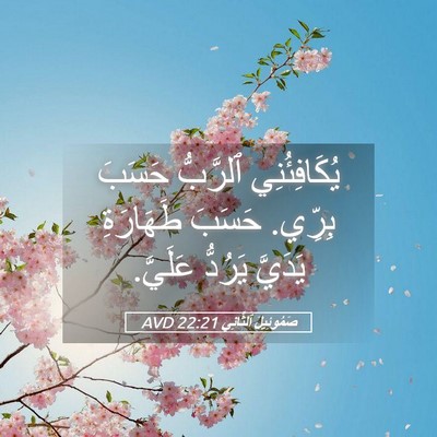 Picture 05 - صَمُوئِيلَ ٱلثَّانِي 22:21 AVD - يُكَافِئُنِي ٱلرَّبُّ - Bible Verse Picture
