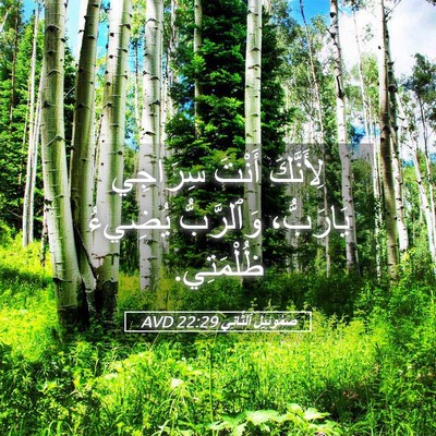 Picture 05 - صَمُوئِيلَ ٱلثَّانِي 22:29 AVD - لِأَنَّكَ أَنْتَ سِرَاجِي - Bible Verse Picture