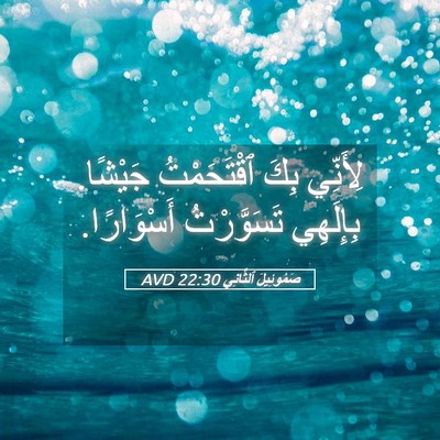 Picture 05 - صَمُوئِيلَ ٱلثَّانِي 22:30 AVD - لِأَنِّي بِكَ ٱقْتَحَمْتُ - Bible Verse Picture