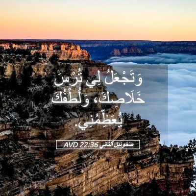 Picture 05 - صَمُوئِيلَ ٱلثَّانِي 22:36 AVD - وَتَجْعَلُ لِي تُرْسَ - Bible Verse Picture