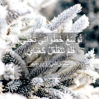 Picture 05 - صَمُوئِيلَ ٱلثَّانِي 22:37 AVD - تُوَسِّعُ خَطْوَاتِي - Bible Verse Picture