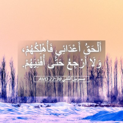 Picture 05 - صَمُوئِيلَ ٱلثَّانِي 22:38 AVD - أَلْحَقُ أَعْدَائِي - Bible Verse Picture
