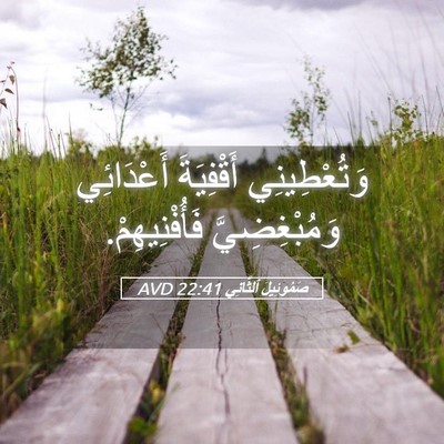 Picture 05 - صَمُوئِيلَ ٱلثَّانِي 22:41 AVD - وَتُعْطِينِي أَقْفِيَةَ - Bible Verse Picture