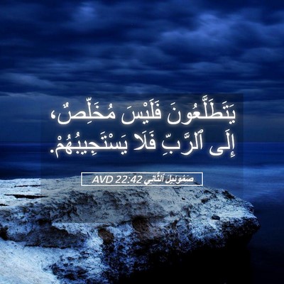 Picture 05 - صَمُوئِيلَ ٱلثَّانِي 22:42 AVD - يَتَطَلَّعُونَ فَلَيْسَ - Bible Verse Picture