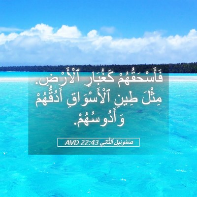 Picture 05 - صَمُوئِيلَ ٱلثَّانِي 22:43 AVD - فَأَسْحَقُهُمْ كَغُبَارِ - Bible Verse Picture