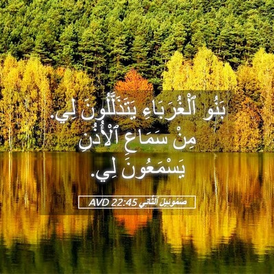 Picture 05 - صَمُوئِيلَ ٱلثَّانِي 22:45 AVD - بَنُو ٱلْغُرَبَاءِ - Bible Verse Picture