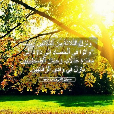 Picture 05 - صَمُوئِيلَ ٱلثَّانِي 23:13 AVD - وَنَزَلَ ٱلثَّلَاثَةُ - Bible Verse Picture