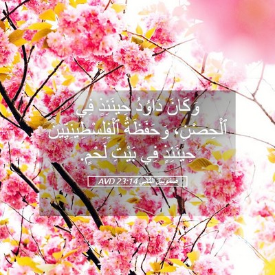Picture 05 - صَمُوئِيلَ ٱلثَّانِي 23:14 AVD - وَكَانَ دَاوُدُ حِينَئِذٍ - Bible Verse Picture
