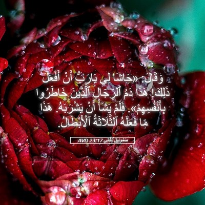Picture 05 - صَمُوئِيلَ ٱلثَّانِي 23:17 AVD - وَقَالَ: «حَاشَا لِي - Bible Verse Picture