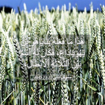 Picture 05 - صَمُوئِيلَ ٱلثَّانِي 23:22 AVD - هَذَا مَا فَعَلَهُ - Bible Verse Picture