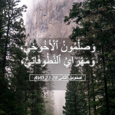 Picture 05 - صَمُوئِيلَ ٱلثَّانِي 23:28 AVD - وَصَلْمُونُ - Bible Verse Picture