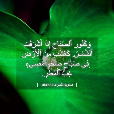 Picture 05 - صَمُوئِيلَ ٱلثَّانِي 23:4 AVD - وَكَنُورِ ٱلصَّبَاحِ - Bible Verse Picture