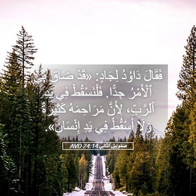 Picture 05 - صَمُوئِيلَ ٱلثَّانِي 24:14 AVD - فَقَالَ دَاوُدُ لِجَادٍ: - Bible Verse Picture