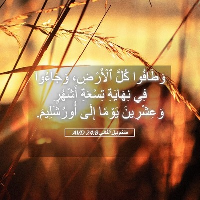 Picture 05 - صَمُوئِيلَ ٱلثَّانِي 24:8 AVD - وَطَافُوا كُلَّ - Bible Verse Picture