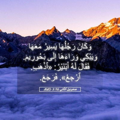 Picture 05 - صَمُوئِيلَ ٱلثَّانِي 3:16 AVD - وَكَانَ رَجُلُهَا يَسِيرُ - Bible Verse Picture