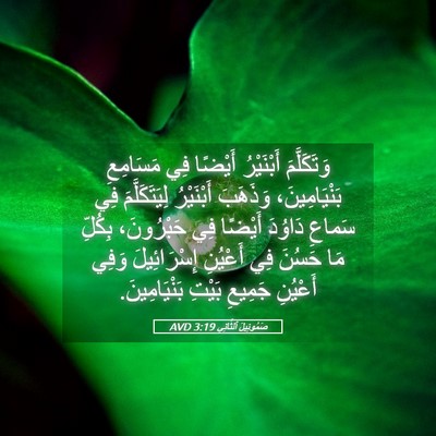 Picture 05 - صَمُوئِيلَ ٱلثَّانِي 3:19 AVD - وَتَكَلَّمَ أَبْنَيْرُ - Bible Verse Picture