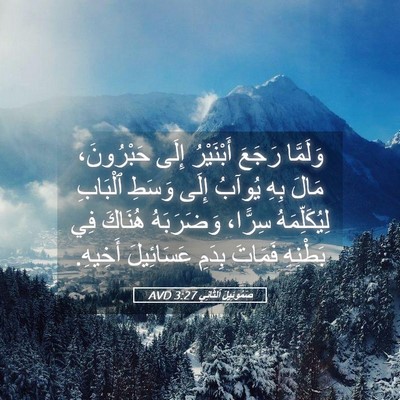 Picture 05 - صَمُوئِيلَ ٱلثَّانِي 3:27 AVD - وَلَمَّا رَجَعَ - Bible Verse Picture