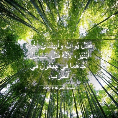 Picture 05 - صَمُوئِيلَ ٱلثَّانِي 3:30 AVD - فَقَتَلَ يُوآبُ - Bible Verse Picture