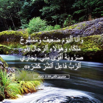 Picture 05 - صَمُوئِيلَ ٱلثَّانِي 3:39 AVD - وَأَنَا ٱلْيَوْمَ ضَعِيفٌ - Bible Verse Picture