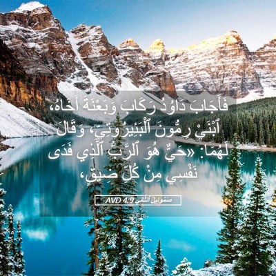 Picture 05 - صَمُوئِيلَ ٱلثَّانِي 4:9 AVD - فَأَجَابَ دَاوُدُ رَكَابَ - Bible Verse Picture