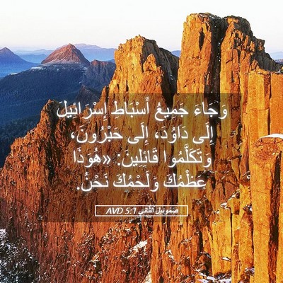 Picture 05 - صَمُوئِيلَ ٱلثَّانِي 5:1 AVD - وَجَاءَ جَمِيعُ أَسْبَاطِ - Bible Verse Picture