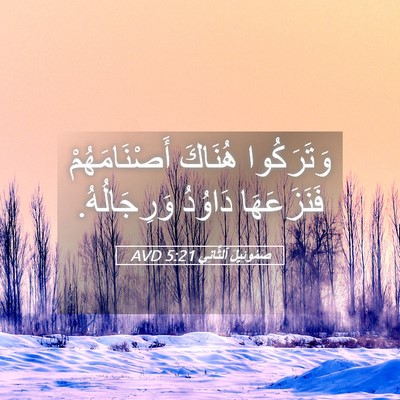 Picture 05 - صَمُوئِيلَ ٱلثَّانِي 5:21 AVD - وَتَرَكُوا هُنَاكَ - Bible Verse Picture