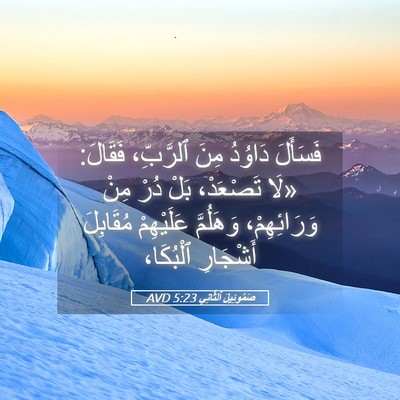 Picture 05 - صَمُوئِيلَ ٱلثَّانِي 5:23 AVD - فَسَأَلَ دَاوُدُ مِنَ - Bible Verse Picture