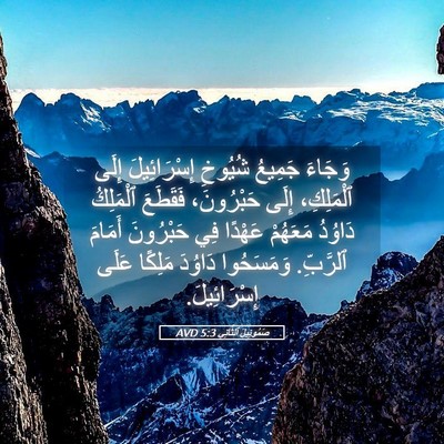 Picture 05 - صَمُوئِيلَ ٱلثَّانِي 5:3 AVD - وَجَاءَ جَمِيعُ شُيُوخِ - Bible Verse Picture