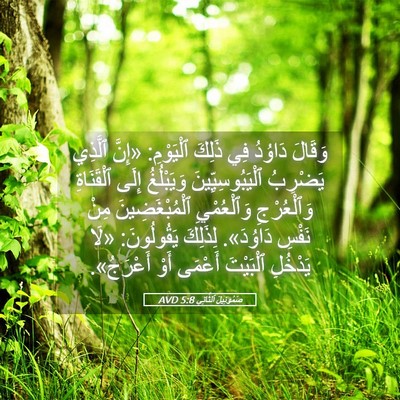Picture 05 - صَمُوئِيلَ ٱلثَّانِي 5:8 AVD - وَقَالَ دَاوُدُ فِي ذَلِكَ - Bible Verse Picture