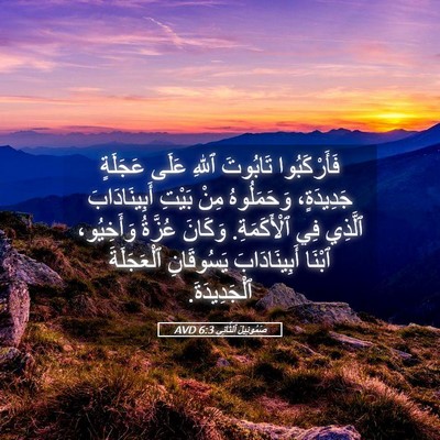 Picture 05 - صَمُوئِيلَ ٱلثَّانِي 6:3 AVD - فَأَرْكَبُوا تَابُوتَ - Bible Verse Picture