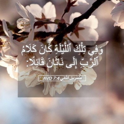 Picture 05 - صَمُوئِيلَ ٱلثَّانِي 7:4 AVD - وَفِي تِلْكَ ٱللَّيْلَةِ - Bible Verse Picture