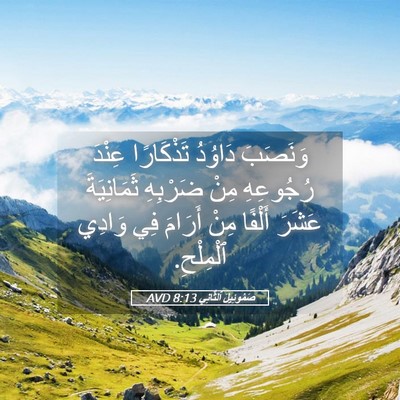 Picture 05 - صَمُوئِيلَ ٱلثَّانِي 8:13 AVD - وَنَصَبَ دَاوُدُ - Bible Verse Picture