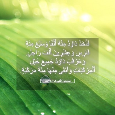 Picture 05 - صَمُوئِيلَ ٱلثَّانِي 8:4 AVD - فَأَخَذَ دَاوُدُ مِنْهُ - Bible Verse Picture