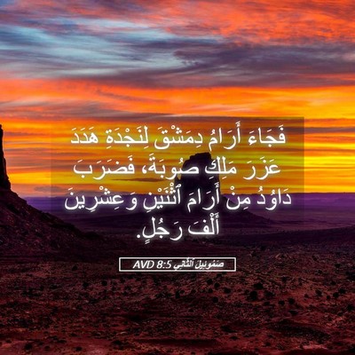 Picture 05 - صَمُوئِيلَ ٱلثَّانِي 8:5 AVD - فَجَاءَ أَرَامُ دِمَشْقَ - Bible Verse Picture