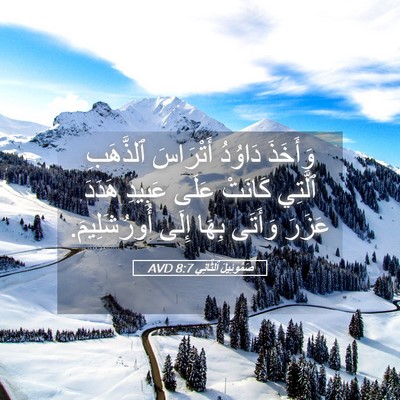 Picture 05 - صَمُوئِيلَ ٱلثَّانِي 8:7 AVD - وَأَخَذَ دَاوُدُ - Bible Verse Picture
