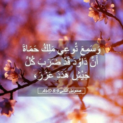Picture 05 - صَمُوئِيلَ ٱلثَّانِي 8:9 AVD - وَسَمِعَ تُوعِي مَلِكُ - Bible Verse Picture
