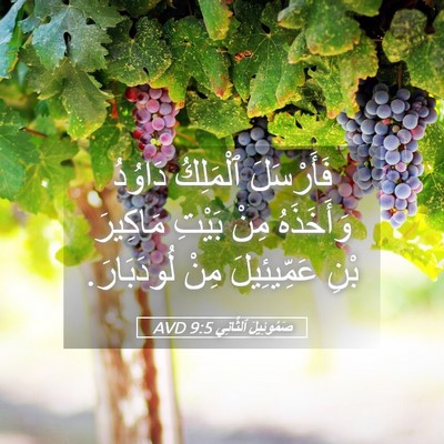 Picture 05 - صَمُوئِيلَ ٱلثَّانِي 9:5 AVD - فَأَرْسَلَ ٱلْمَلِكُ - Bible Verse Picture