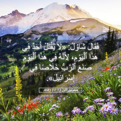 Picture 05 - صَمُوئِيلَ ٱلْأَوَّلُ 11:13 AVD - فَقَالَ شَاوُلُ: «لَا - Bible Verse Picture