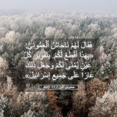 Picture 05 - صَمُوئِيلَ ٱلْأَوَّلُ 11:2 AVD - فَقَالَ لَهُمْ نَاحَاشُ - Bible Verse Picture
